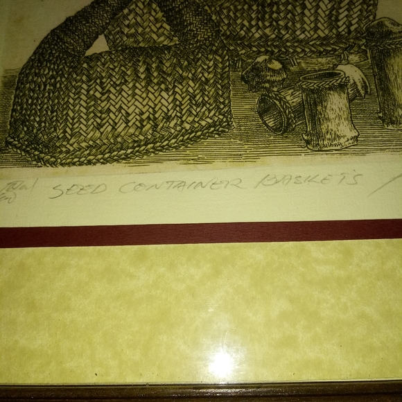 Seed Container Baskets by ALEX UY - Picture 5 of 8